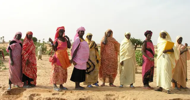 Sahel Resilience Strengthening (SARES)