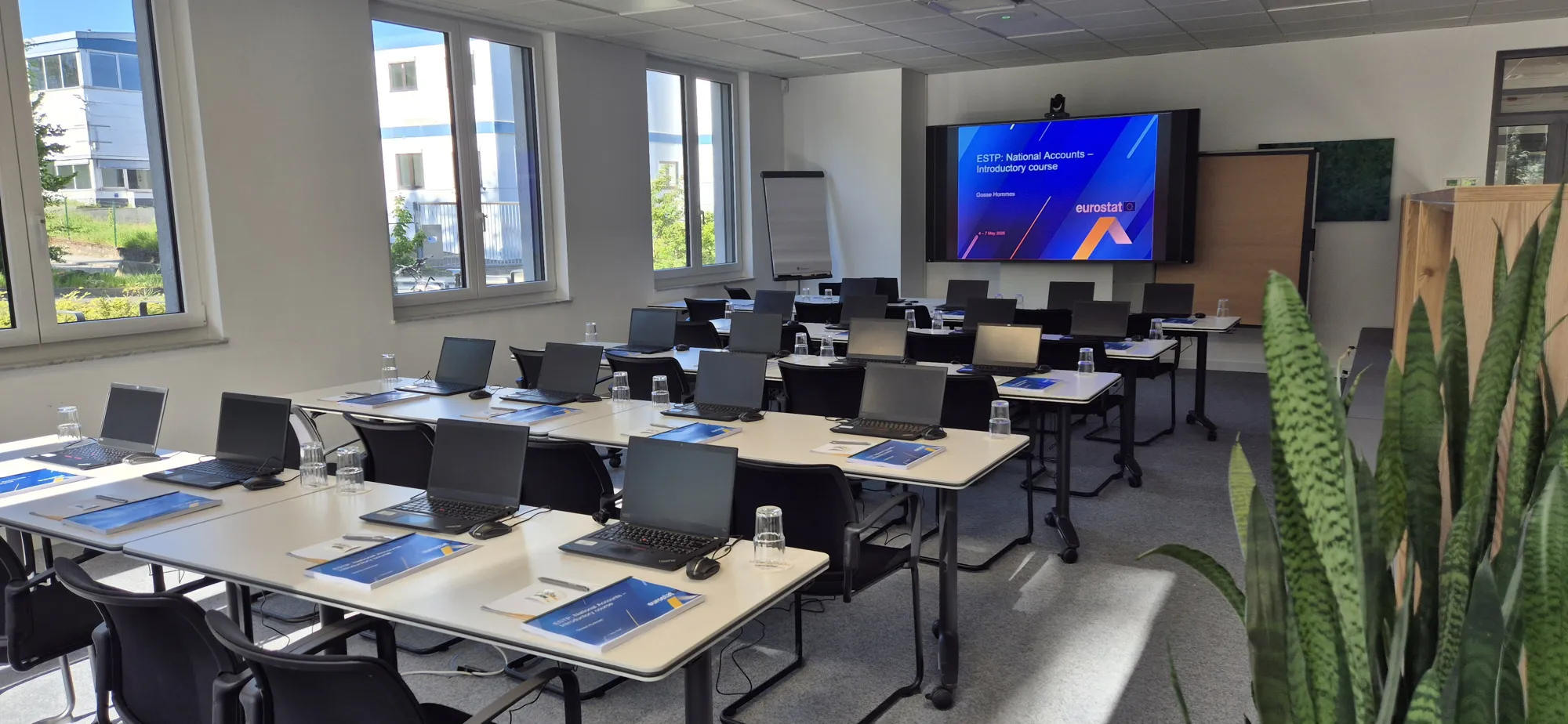 Programa Europeo de Formación Estadística (ESTP)