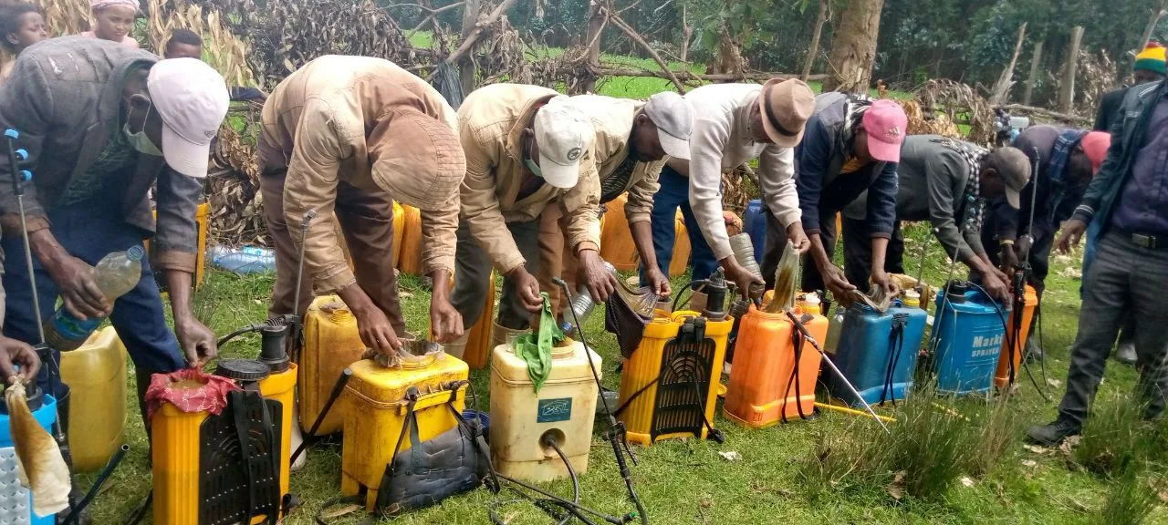 Liquid biofertilizer application campaign at Jeju woreda, Arsi