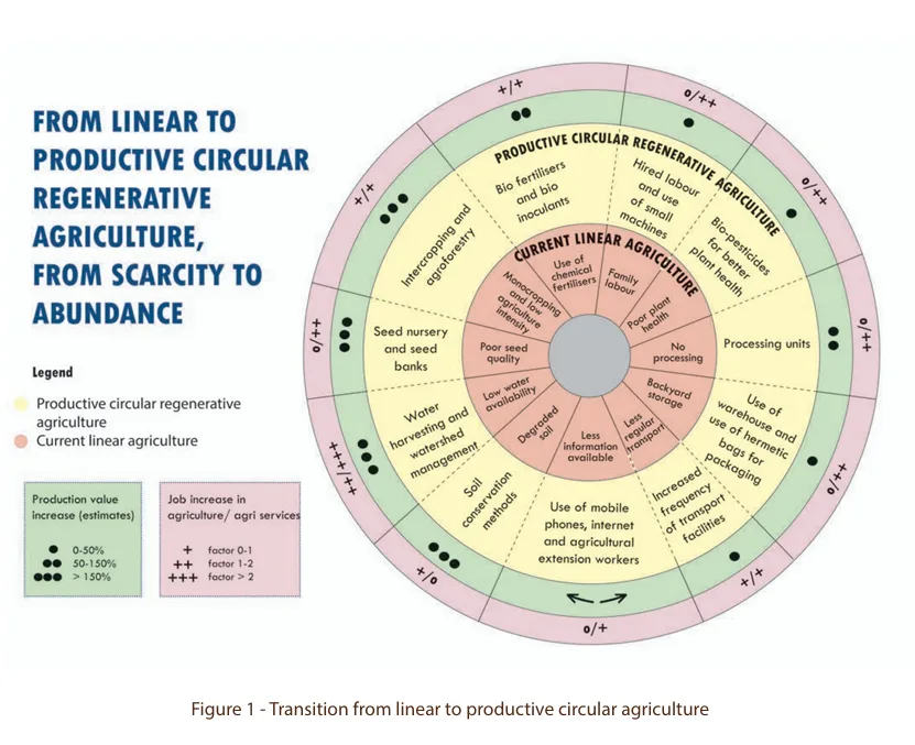 Infographic
