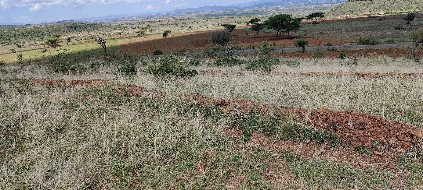 Soil and water conservation structures at area closure of Sire woreda, Arsi