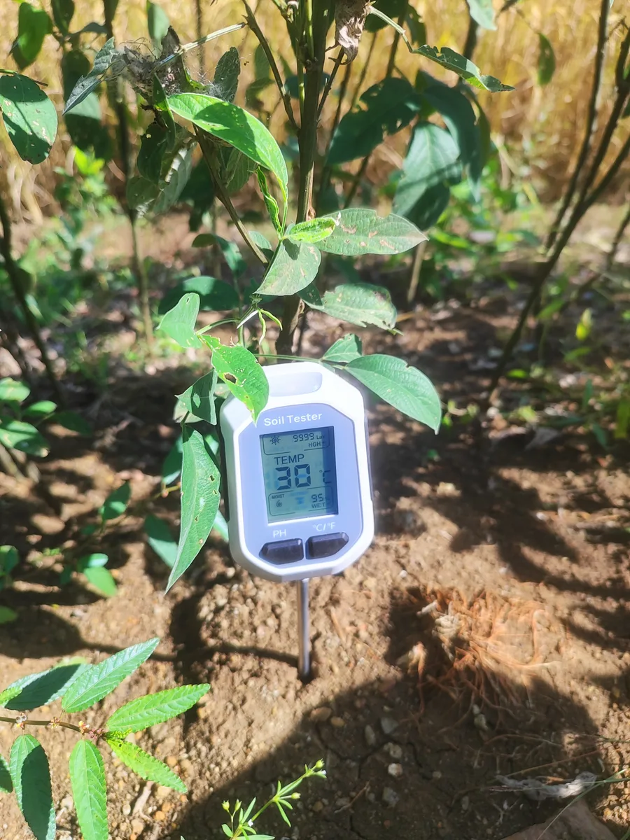 Sensors installed to measure the microclimatic factors (moisture, temperature and pH level)
