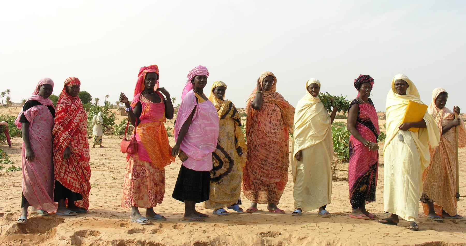 Sahel Resilience Strengthening (SARES)