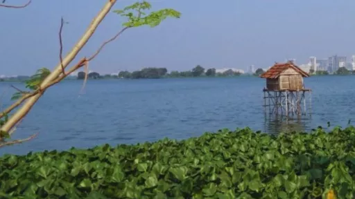 habitations sur l’eau