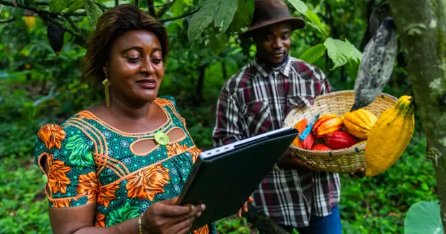 Acceso de pymes de alto potencial a los mercados africanos en Costa de Marfil, Senegal y Ghana