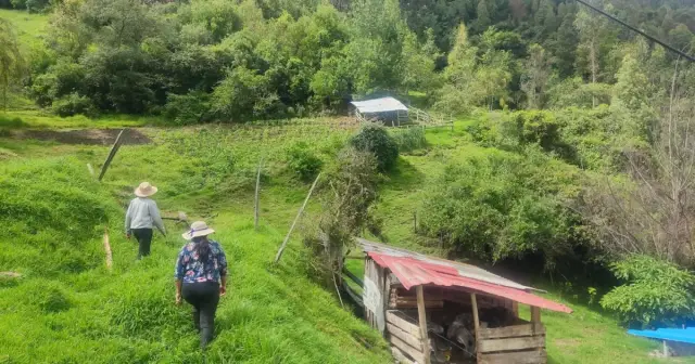 Proyecto germano-colombiano de agroecología