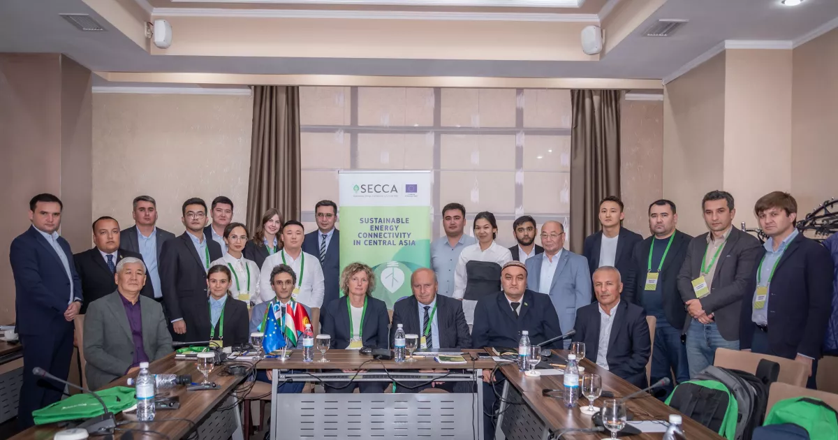 Facilitating sustainable energy connectivity in Central Asia