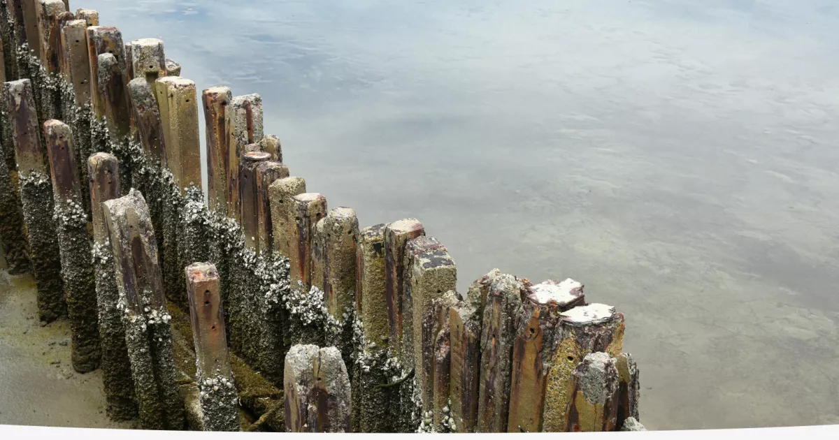 Protecting marine environments and coral reefs in the Philippines