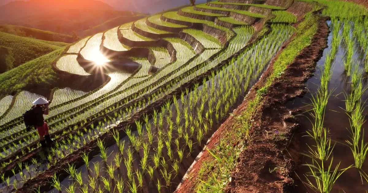 Agriculture