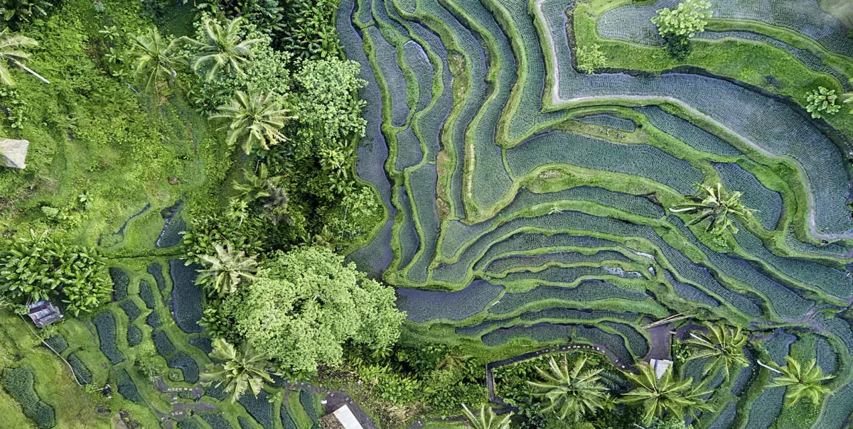 Climate, Natural Resources and Environment