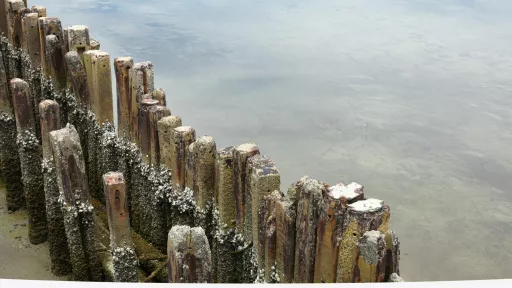 pier wood in water