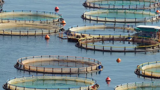 fisheries