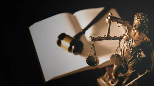 judiciary