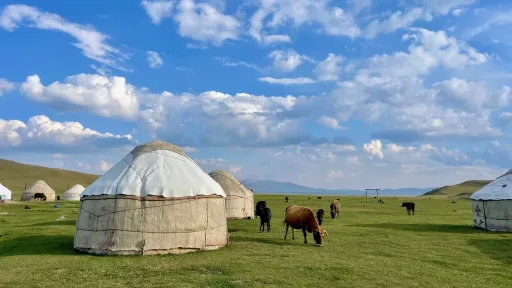 Kyrgyzstan field tent