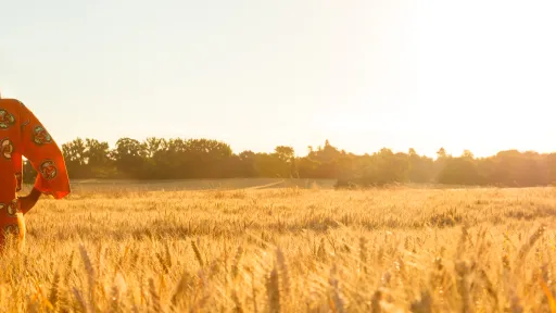 Agribusiness