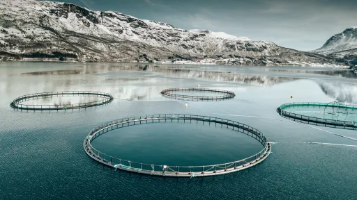 Fisheries & Aquaculture