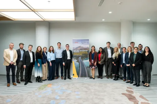 blended finance roundtable pic 6