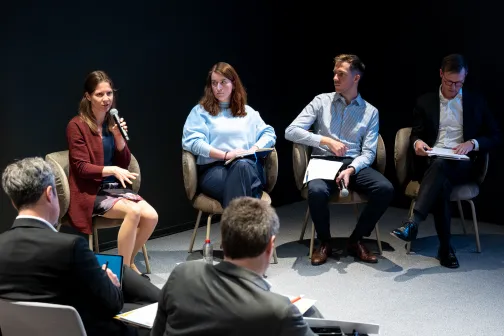 blended finance roundtable pic 4