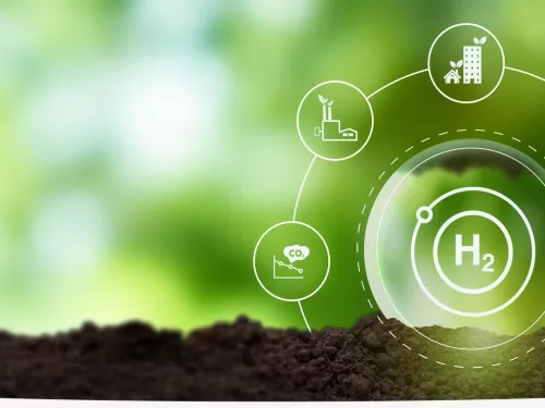 climate chart on green background