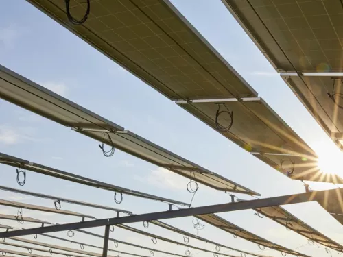 solar panels