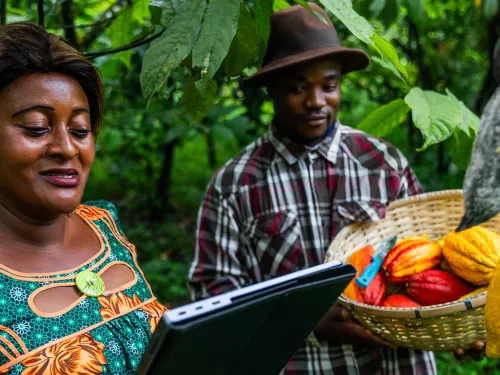 Field quality control by using the tablet Cameroon