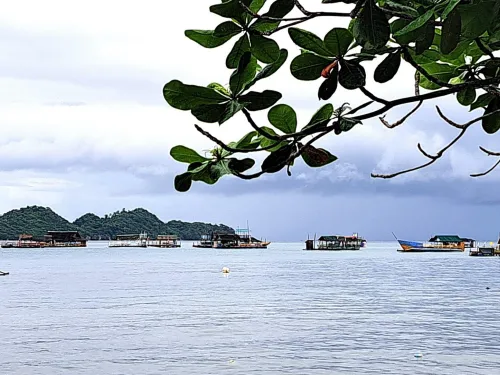 Marine Reserves in the Philippines 