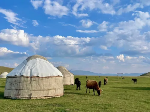Kyrgyzstan field tent